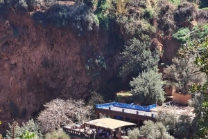 From Marrakech: Ouzoud Waterfalls Day Trip with Boat Tour