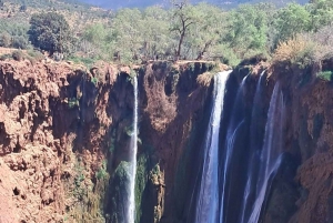 From Marrakech: Ouzoud Waterfalls Day Trip with Boat Tour