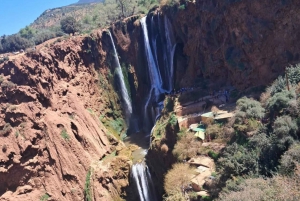 From Marrakech: Ouzoud Waterfalls Day Trip with Boat Tour