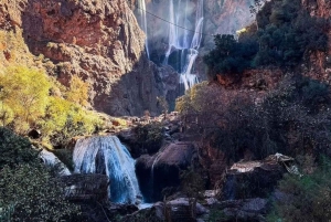 From Marrakech: Ouzoud Waterfalls Day Trip with Boat Tour