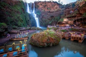 Marrakechista: Ouzoudin vesiputoukset päiväretki hotellin noutopalvelulla