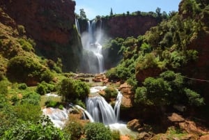 De Marrakech: Viagem de 1 dia às cachoeiras de Ouzoud com serviço de busca no hotel