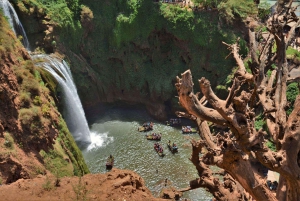 Von Marrakech aus: Ouzoud Wasserfälle Ganztagestour mit Guide