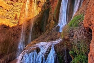 From Marrakech: Ouzoud Waterfalls Full-Day Trip