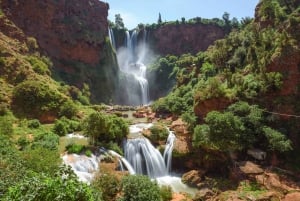 Von Marrakech aus: Geführte Wanderung und Bootsfahrt zu den Ouzoud-Wasserfällen