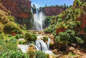 Au départ de Marrakech : Randonnée guidée et excursion en bateau aux cascades d'Ouzoud