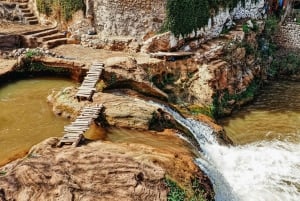 Desde Caminata guiada y excursión en barco por las cascadas de Ouzoud