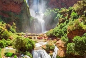 From Marrakech: Ouzoud Waterfalls Guided Hike and Boat Trip