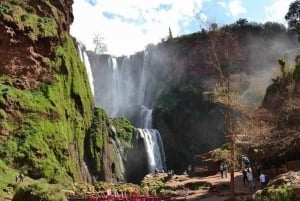 From Marrakech: Ouzoud Waterfalls Guided Hike and Boat Trip