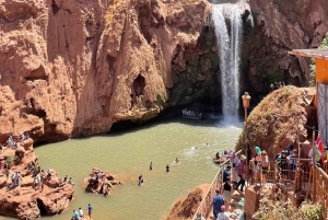 Vanuit Marrakech: Ouzoud watervallen begeleide wandeling en boottocht