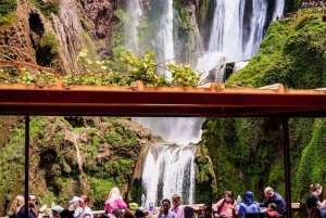 Vanuit Marrakech: Ouzoud watervallen begeleide wandeling en boottocht