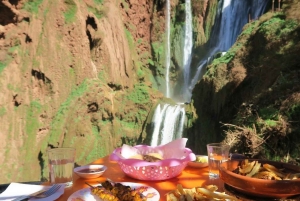 Vanuit Marrakech: Ouzoud watervallen begeleide wandeling en boottocht