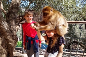 Vanuit Marrakech: Ouzoud watervallen begeleide wandeling en boottocht