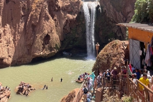 Vanuit Marrakech: Ouzoud watervallen begeleide wandeling en boottocht