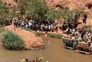Vanuit Marrakech: Ouzoud watervallen begeleide wandeling en boottocht