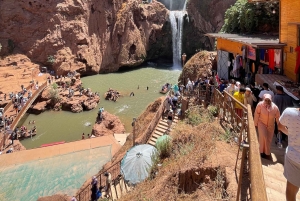 Vanuit Marrakech: Ouzoud watervallen begeleide wandeling en boottocht