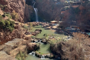 Vanuit Marrakech: Ouzoud watervallen begeleide wandeling en boottocht