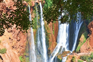 A partir de Marraquexe: Tour guiado às cascatas de Ouzoud e passeio de barco