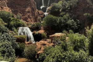 A partir de Marraquexe: Tour guiado às cascatas de Ouzoud e passeio de barco