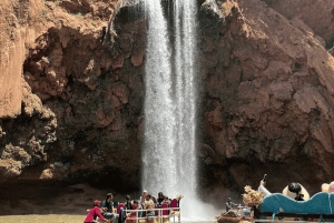 A partir de Marraquexe: Tour guiado às cascatas de Ouzoud e passeio de barco