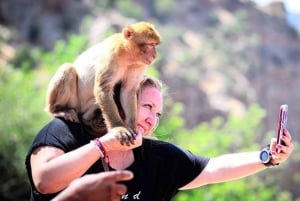 Vanuit Marrakesh: Ouzoud-watervallen met gids en boottocht