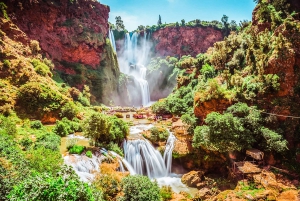Depuis Marrakech : visite guidée des cascades d'Ouzoud et sortie en bateau