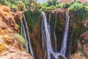 Depuis Marrakech : visite guidée des cascades d'Ouzoud et sortie en bateau