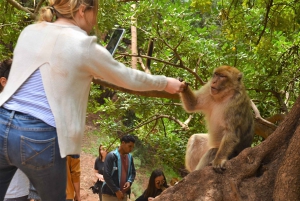 Depuis Marrakech : visite guidée des cascades d'Ouzoud et sortie en bateau