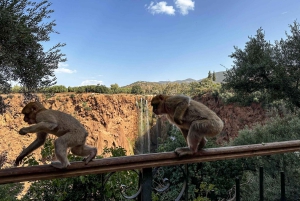 Desde Marrakech Excursión guiada a las Cascadas de Ouzoud con paseo en barco