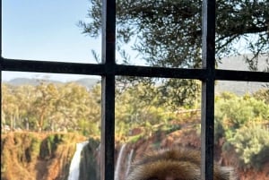 Desde Marrakech Excursión guiada a las Cascadas de Ouzoud con paseo en barco