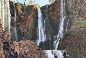 Desde Marrakech Excursión guiada a las Cascadas de Ouzoud con paseo en barco