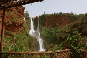 From Marrakech: Ouzoud Waterfalls Local Guided and Boat Ride