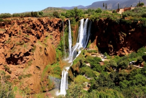 From Marrakech: Ouzoud Waterfalls Local Guided and Boat Ride