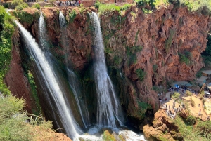 From Marrakech: Ouzoud Waterfalls Local Guided and Boat Ride