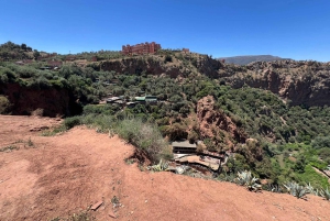 From Marrakech: Ouzoud Waterfalls Local Guided and Boat Ride