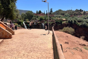 From Marrakech: Ouzoud Waterfalls Local Guided and Boat Ride