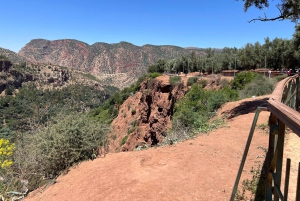From Marrakech: Ouzoud Waterfalls Local Guided and Boat Ride