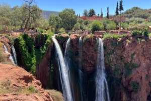 From Marrakech: Ouzoud Waterfalls Local Guided and Boat Ride