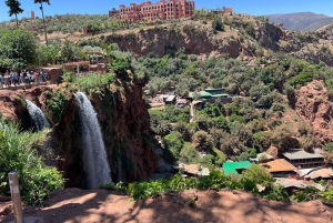 From Marrakech: Ouzoud Waterfalls Local Guided and Boat Ride