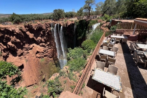 From Marrakech: Ouzoud Waterfalls Local Guided and Boat Ride