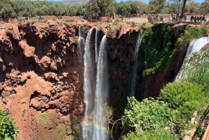 From Marrakech: Ouzoud Waterfalls Local Guided and Boat Ride