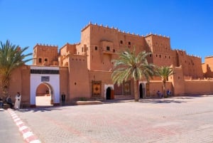 From Marrakech: Overnight Luxury Camping Tour to Zagora