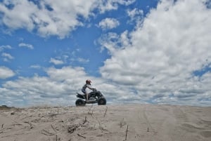 From Marrakech: Palmeraie Quad Bike Ride & Berber Village