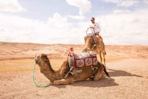 Desde Marrakech: Parapente, paseo en camello y pausa para el té