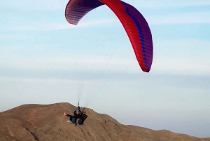 From Marrakech: Paragliding, Camel Ride, and Tea break