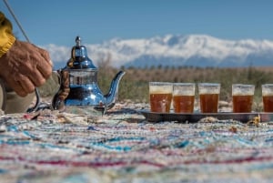 Von Marrakech aus: Premium Agafay Wüste Halbtages-Quad-Biking