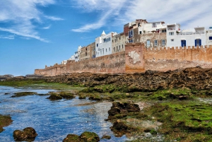 Desde Marrakech: excursión de 1 día privada a Essaouira