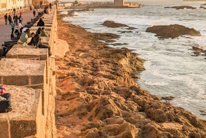 Desde Marrakech: excursión de 1 día privada a Essaouira