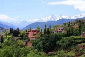 Marrakech : Prive naar Ourika vallei Atlasgebergte & Lunch