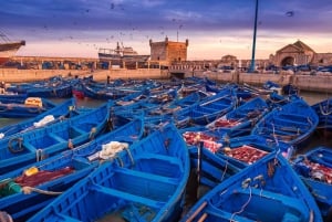 Vanuit Marrakech: privé dagtrip naar de kuststad Essaouira